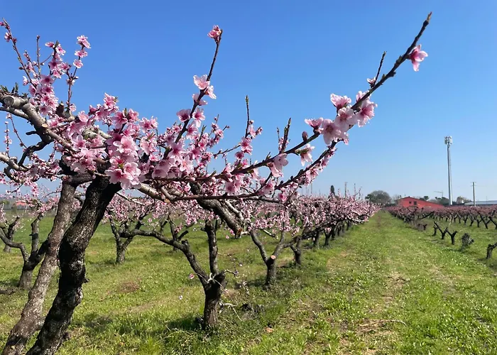 Agriturismo Corte Vecia Alloggio della Corte Verona